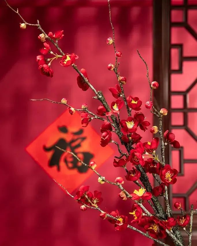 辭舊迎新，兔年納福，心懷熱愛(ài)，共赴山海！
